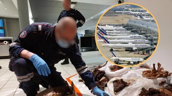 La agente que trabaja en