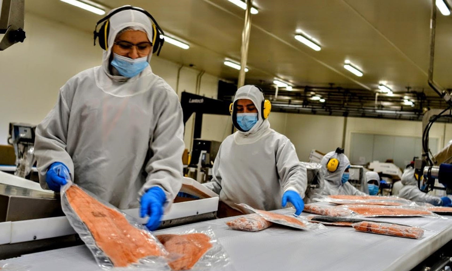 La Argentina hoy se abastece de salmón chileno principalmente