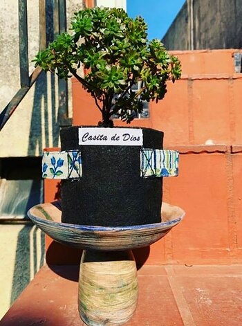 Las macetas geotextiles, toda una