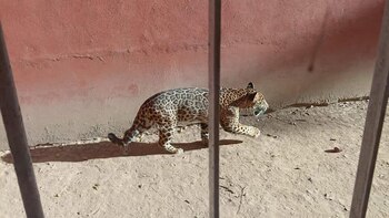 El hecho ocurrió en la bahía de Banderas