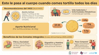 Infografía con el título "Esto le pasa al cuerpo cuando comes tortilla todos los días". Muestra recomendaciones de consumo, aporte nutricional y beneficios de la tortilla.