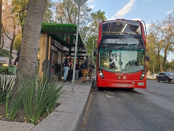 Los autobuses de la marca