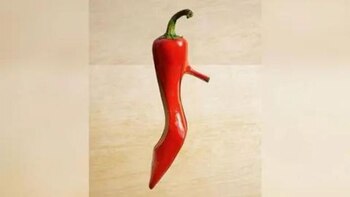 Test de personalidad y descubre