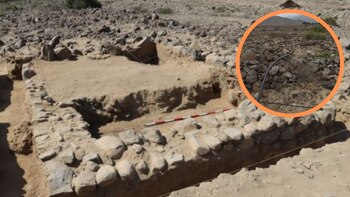 A pesar de su declaratoria