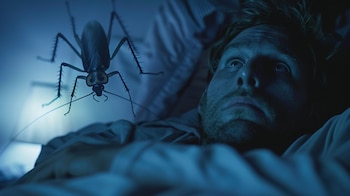 Las pesadillas puede ser avisos