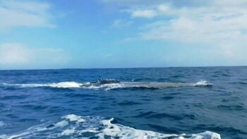 Las autoridades panameñas decomisaron cinco