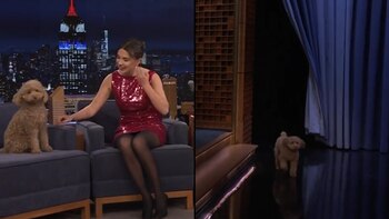 Winnie, la poodle de Millie