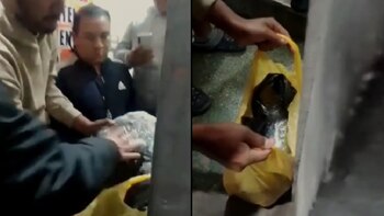 El cargamento de marihuana fue