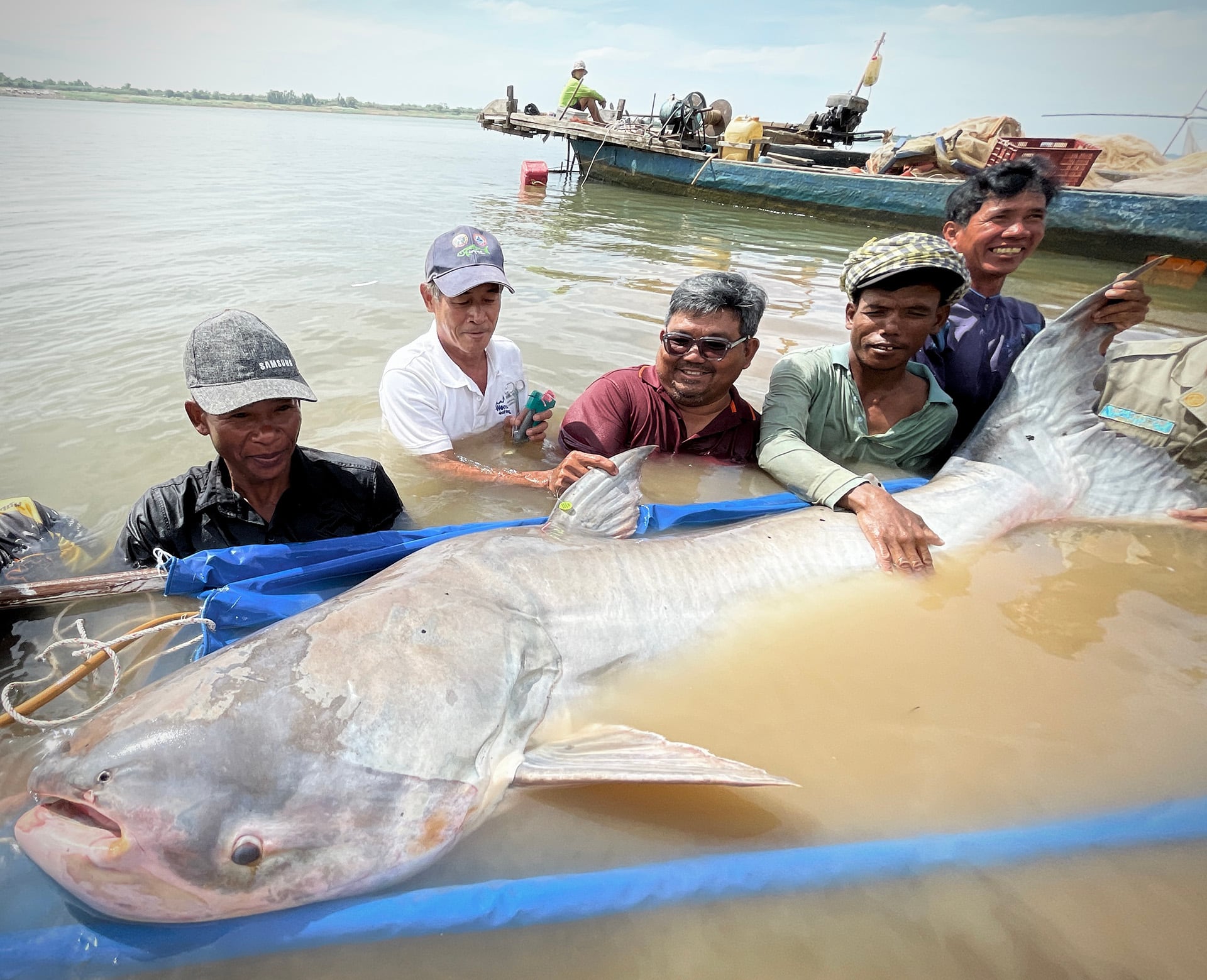 La sobrepesca y la captura incidental dificultan que los peces migratorios alcancen la madurez y sostengan sus poblaciones/Zeb Hogan