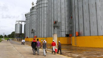 Trabajadores caminan frente a los