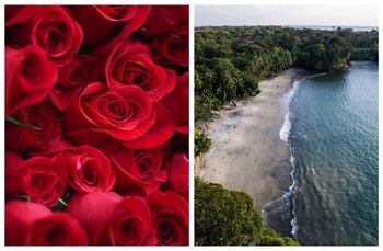 Estos lugares ofrecen un ambiente