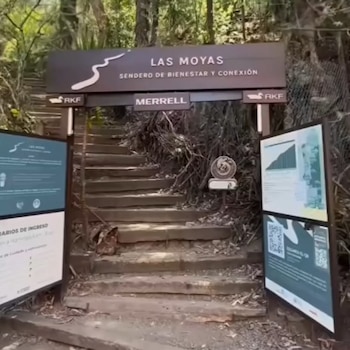 El sendero Las Moyas refuerza el turismo de bienestar en Bogotá - crédito @livehappycol/IG