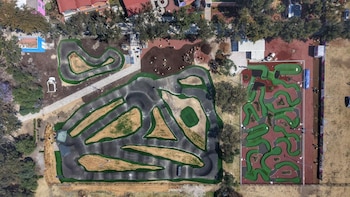 Gobierno CDMX niega tala de