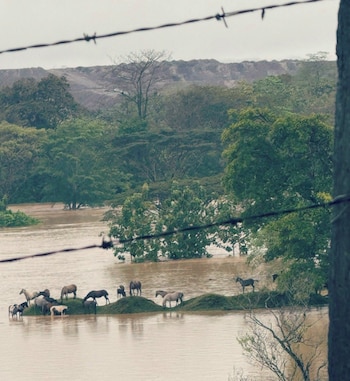 En redes sociales, se denuncia