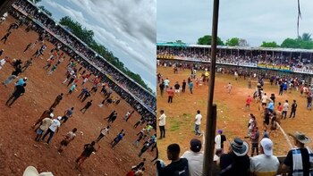 Corralejas en El Bagre, Antioquia, dejaron un caballo muerto y 7 más heridos: el evento se habría celebrado sin permisos