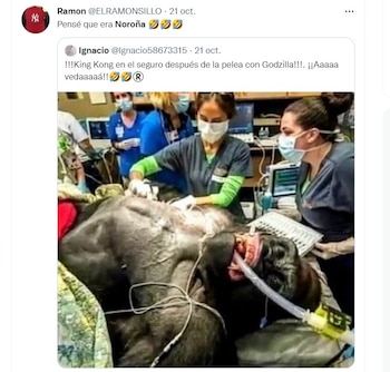 Usuarios en redes sociales reaccionaron