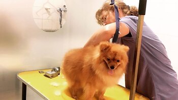 Una imagen que la ex