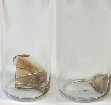 Una tecnología pionera permite que los plásticos biodegradables se degraden de forma controlada, adaptándose a la necesidad de cada producto (Rutgers University)