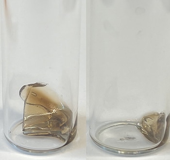 Una tecnología pionera permite que