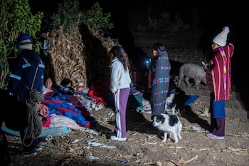 Varias personas duermen y permanecen al aire libre durante la noche. Hay dos perros, un cerdo y vegetación. Parte del suelo es de tierra