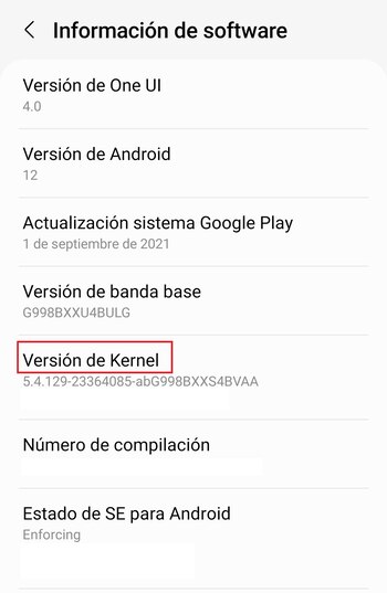 En Información de software dentro