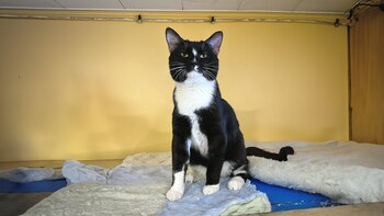 Luka pasó casi un año