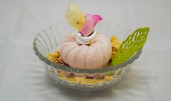 Postre helado rosado en forma de calabaza en cuenco de cristal, con crema batida, pétalos amarillos y rosas, oblea verde y migas sobre fondo blanco