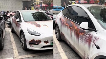 La desconcertante imagen de un