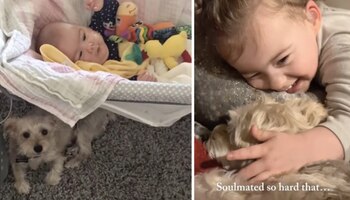 Mientras Bella sufre, los dueños