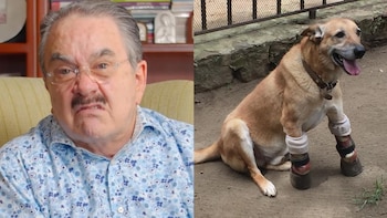 Aseguran que Pedro Sola maltrató al perrito “Pay de Limón” durante grabación de Ventaneando
