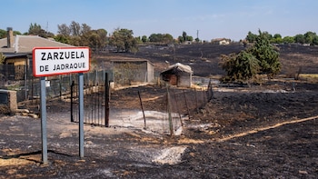 El trabajo durante la noche en el incendio de La Mierla (Guadalajara) consigue frenar el avance hacia Soria: se elevan a 29.000 las hectáreas calcinadas