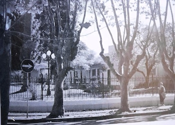 Una imagen del parque y,