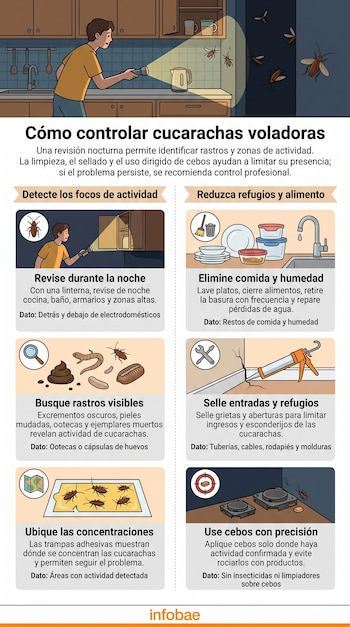 Ilustración de un hombre con linterna en la cocina y seis casilleros con consejos ilustrados sobre el control de cucarachas.