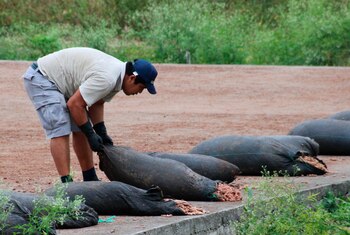 Fotografía de archivo fechada el
