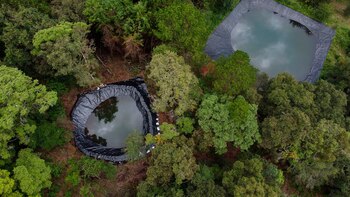 COP26: México fue criticado por