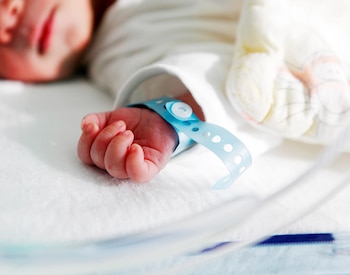 El aspirante informó que se