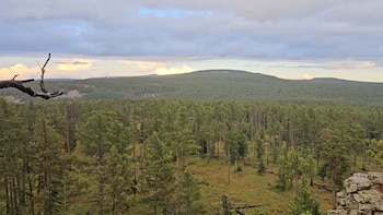 La cultura mongola mantiene tradiciones