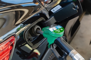 Según Gustavo, "el sebo bovino,