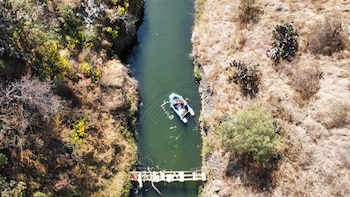 Rescatan a canino atrapado en
