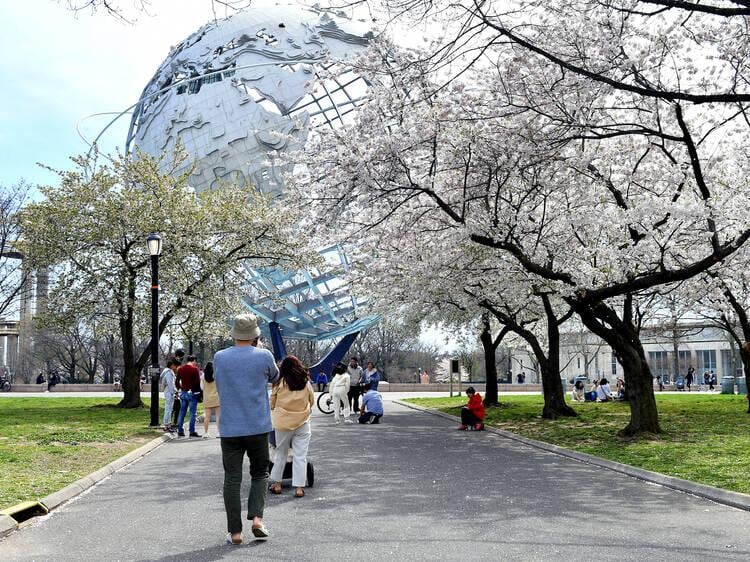 Los senderos y áreas abiertas de Flushing Meadows ya reciben grandes flujos de personas durante eventos masivos y festivales.