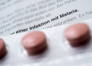 La OMS recomienda, antes de