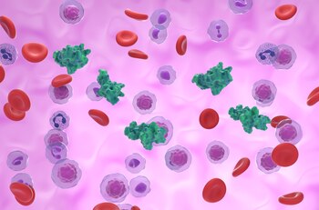 Los científicos buscaron comprender la