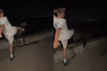 Hombre joven rubio patea a un lobo marino sobre un muro de contención junto al agua en la oscuridad. Imagen dividida en dos paneles