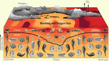 O estudo destaca que