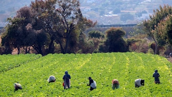 En qué consiste el programa