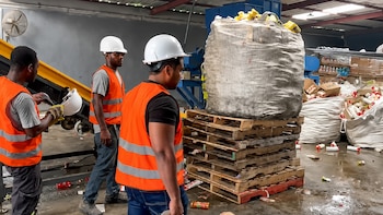 República Dominicana: Destruyen 20 toneladas de alimentos alterados y vencidos en San Cristóbal