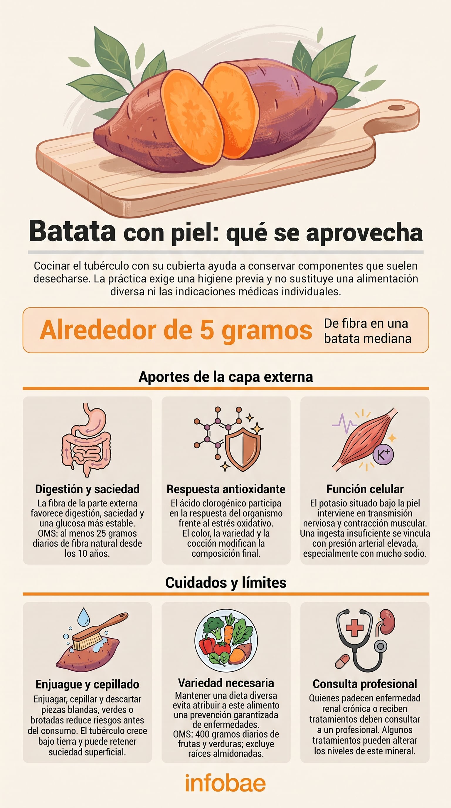 Una correcta limpieza permite aprovechar mejor el alimento y reducir el desperdicio en la cocina. (Imagen Ilustrativa Infobae)