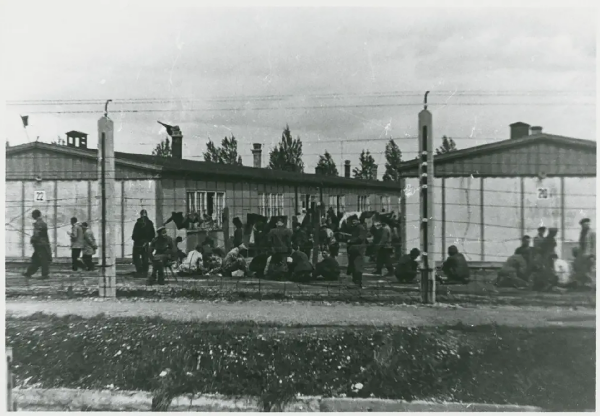 Un día antes de la promulgación de la