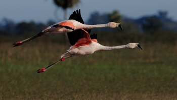 (Créditos: Ministerio de Turismo y