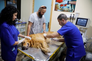 La medicina veterinaria acompaña a